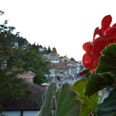 Guest house Mostrovi